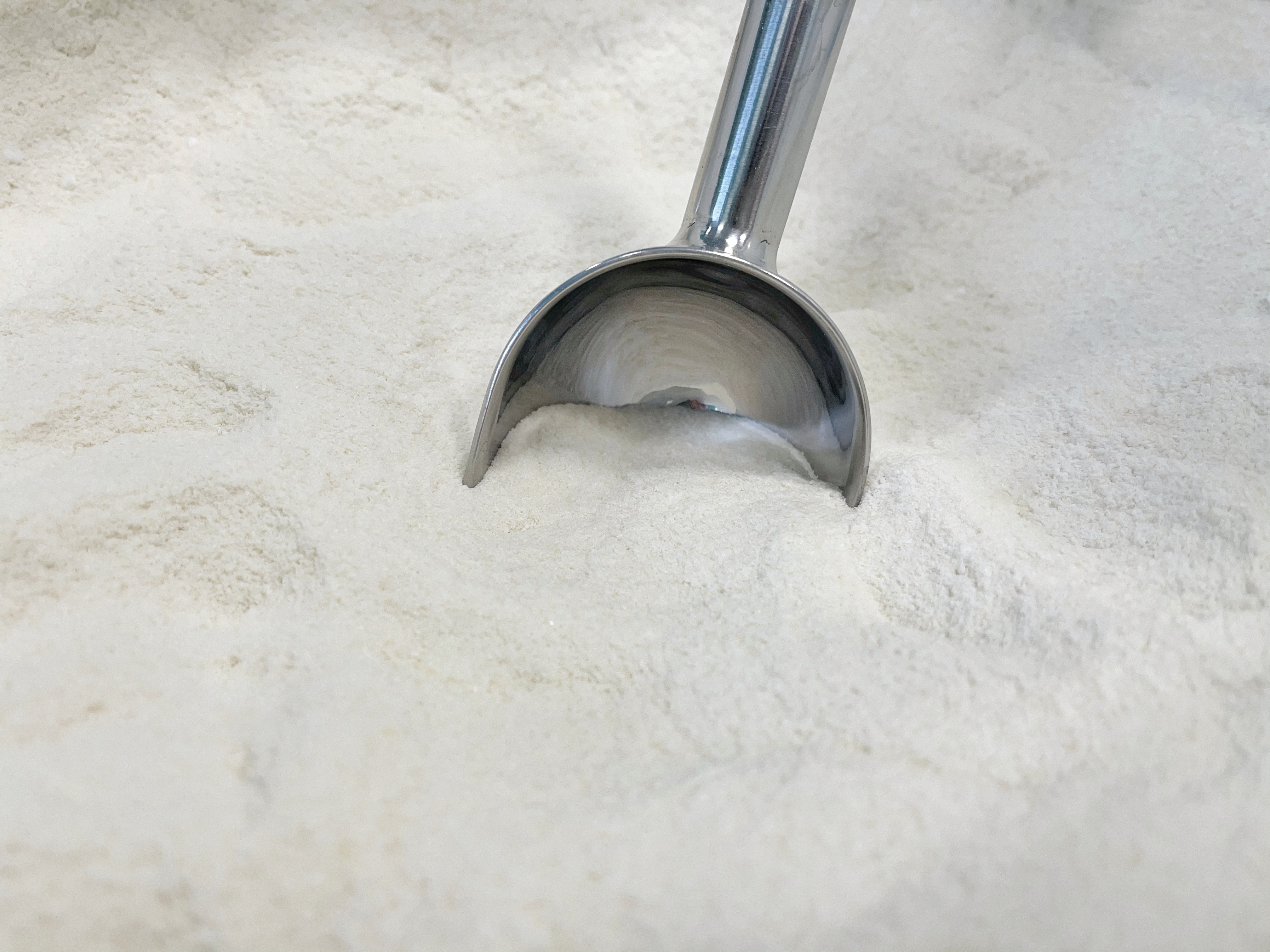 Fermenti liofilizzati: efficienza e qualità in un’unica soluzione 